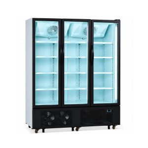 armario-expositor-industrial-refrigerado-fs1600h-tefcold
