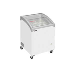 congelador-industrial-para-helados-nic101sceb-tefcold