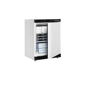 congelador-industrial-de-almacenamiento-uf200-tefcold