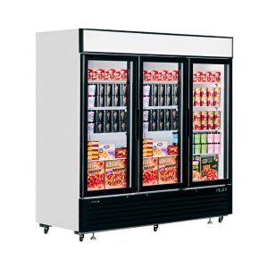 congelador-expositor-industrial-puertas-de-cristal-lgf7500-tefcold