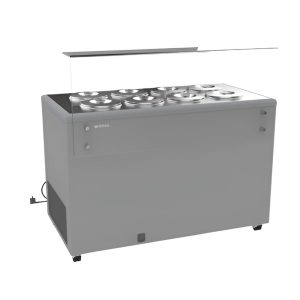 conservador-de-helados-industrial-pozzeti-ic8p-infrico